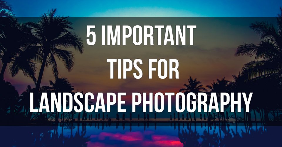 5 Important tips for landscape photography