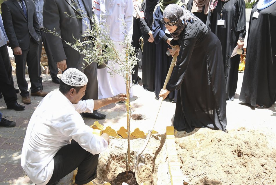 Planting Al Ghaf tree at Al Ain Campus