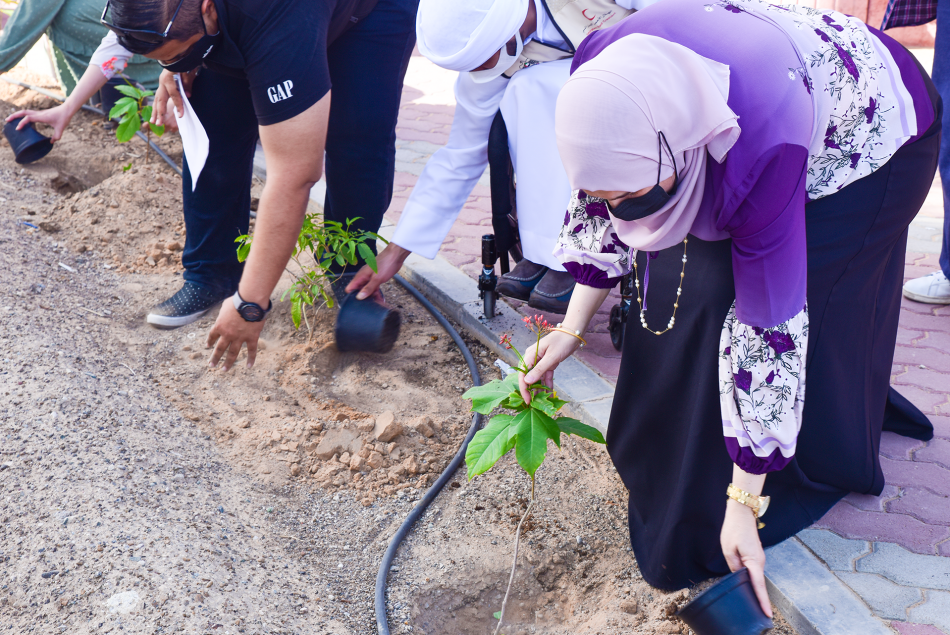 يوم التشجير 