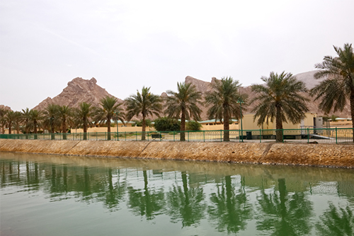 green-mubazzarah-man-made-lake al ain